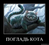 1270370313_zq8x9mgphcme.webp