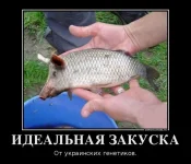 s3img_356964748_4452_1.webp