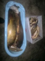 2013-02-25-591.webp