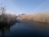 2013-02-25-595.webp
