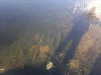 2013-02-25-593.webp