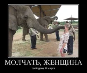 getImageCA5VJO5E.webp