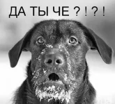 c0fec1bc107a0e25d4ffbbd2657_prev.webp