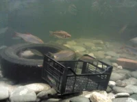 IMG_20130228_131928.webp
