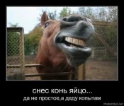 10.webp