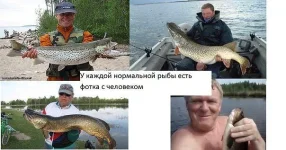 35.webp