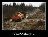 48.webp
