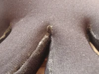 P3100006.webp
