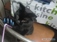 1766834.webp