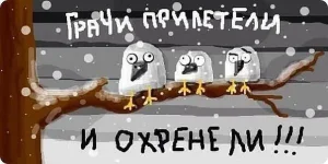 pics-0014.webp