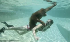 261305_314774925318535_638842083_n.webp