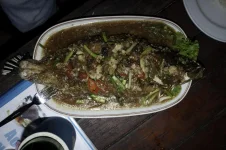 IMG_5737.webp