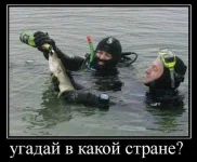n-IEn1rtDvk.webp