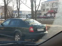 956331.webp