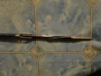 DSC04575.webp