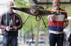 pets-devices-11.webp