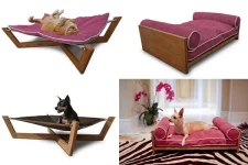 Pet_Lounge_Studios_1.webp