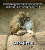 getImage (6).webp