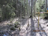 14.webp