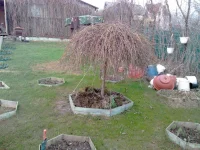 IMG_20130503_183701.webp