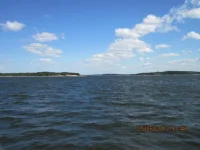 IMG_2375.webp