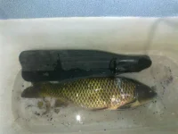 24062013253.webp