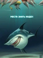 getImage (8).webp