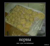 5t0l.webp