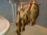 11072013590.webp