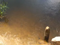 IMG_2061.webp