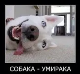 1 (6).webp