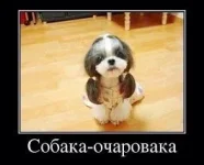 IMG_0435.webp