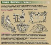 post-3-12856019276189.webp