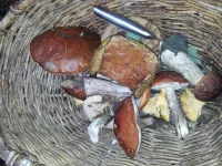 20130727_135139.webp