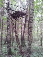 20130731_131723.webp