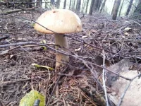 20130720_173511.webp