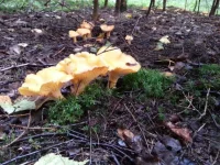 20130720_173534.webp