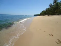 o-bay2.002.webp