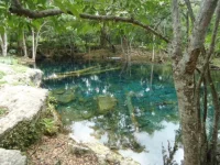 azul002.webp
