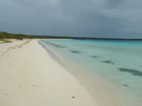 bdla019.webp