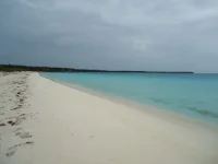 bdla020.webp