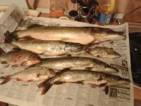 20130806_041106.webp