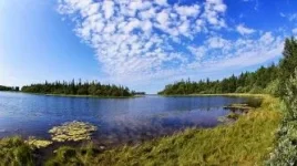 DSCсадок для рыбы.webp