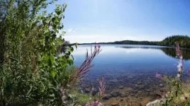 DSCпрозрак в озере на солвках.webp