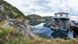 DSCпричал ура 2.webp