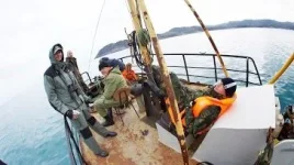 DSCмогрские волки.webp
