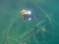 AMBA0031.webp