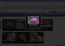Безымянный.webp