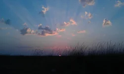 IMAG0853.webp