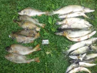 20130824_105611.webp